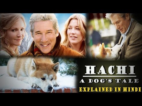 hachi the dog